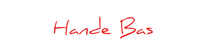 Firma Hande web